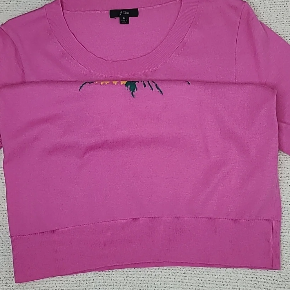 J Crew Merino Wool Blend Embroidered Floral Short-Sleeve Tippi Sweater in Pink